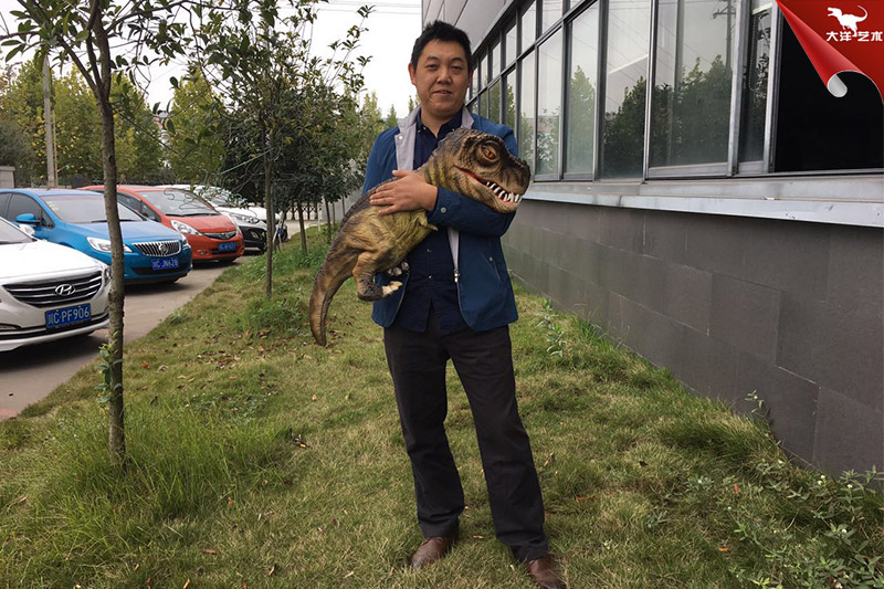 恐龍手偶，抱在手里的恐龍