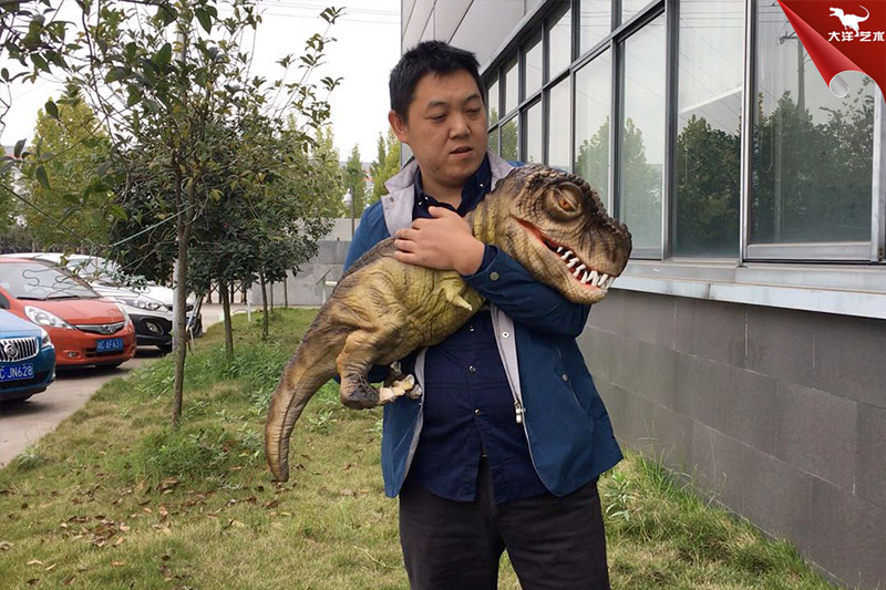 恐龍手偶，抱在手里的恐龍